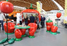 ExpoSE w Karlsruhe po raz 20-ty – FOTOGALERIA