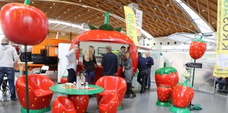 ExpoSE w Karlsruhe po raz 20-ty – FOTOGALERIA