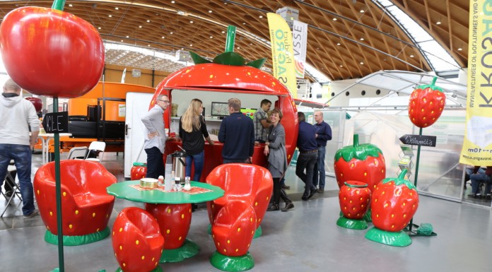 O truskawkach w Karlsruhe