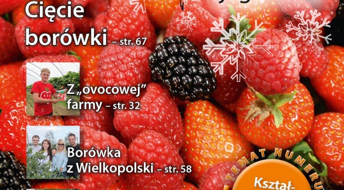 Jagodnik 6/2015 – pamiętaj o prenumeracie na 2016 rok