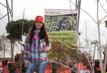 Dni otwarte w Gospodarstwie Szkółkarskim Jan Ciepłucha