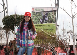 Dni otwarte w Gospodarstwie Szkółkarskim Jan Ciepłucha