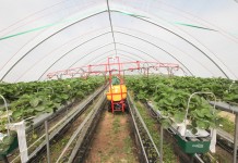 Podsumowanie sezonu ochrony