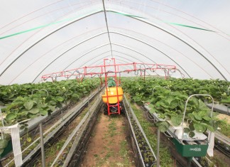 Podsumowanie sezonu ochrony