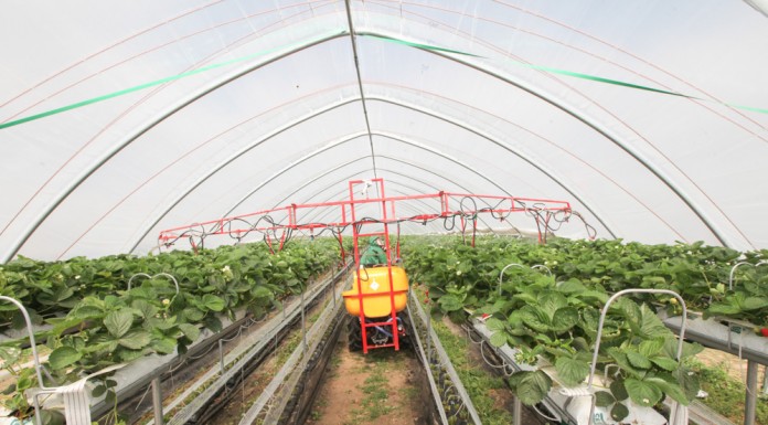 Podsumowanie sezonu ochrony