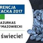 KK_#1 na swiecie