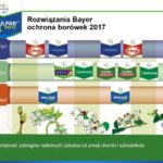 Prezentacja-jagodowe–696×522
