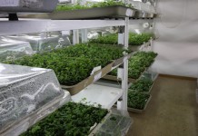 Dni otwarte w gospodarstwie Ciepłuchów