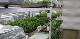 Dni otwarte w gospodarstwie Ciepłuchów