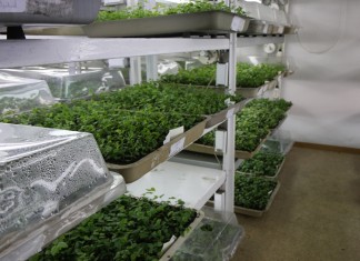 Dni otwarte w gospodarstwie Ciepłuchów