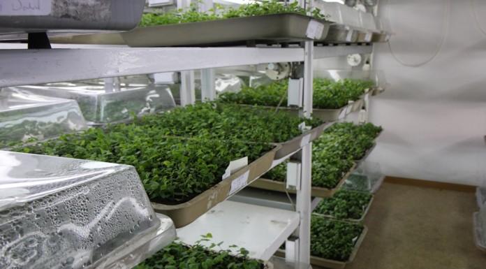 Dni otwarte w gospodarstwie Ciepłuchów