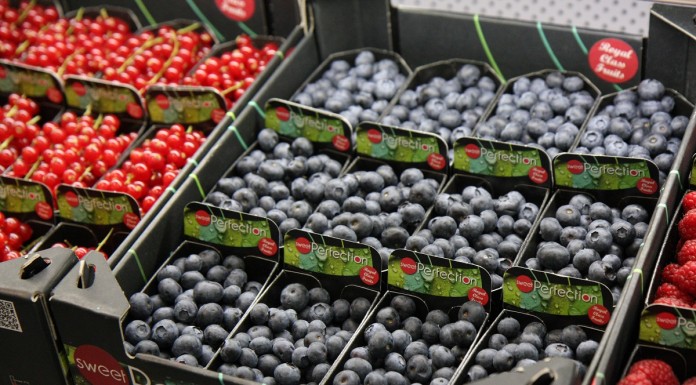 Rynek borówki. Część I – Europa borówka amerykańska wielkość produkcji