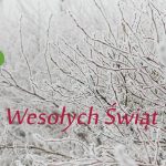 do_newslettera