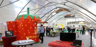 VSSE: ExpoSE i ExpoDirekt 2020 odwołane