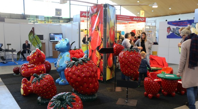 ExpoSE i ExpoDirekt 2017 już za trzy miesiące