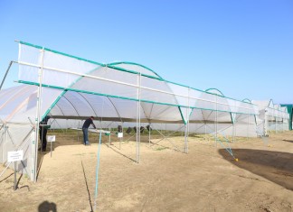 Tunele dla truskawek