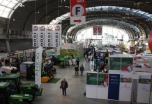 Nowe targi w Kielcach