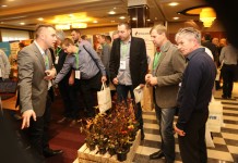 Przegląd sadzonek jagody kamczackiej (cz. II)