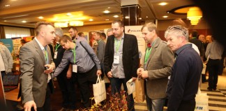 Przegląd sadzonek jagody kamczackiej (cz. II)