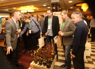 Przegląd sadzonek jagody kamczackiej (cz. II)