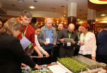 Jagoda kamczacka – cz. II z Konferencji Kamczackiej