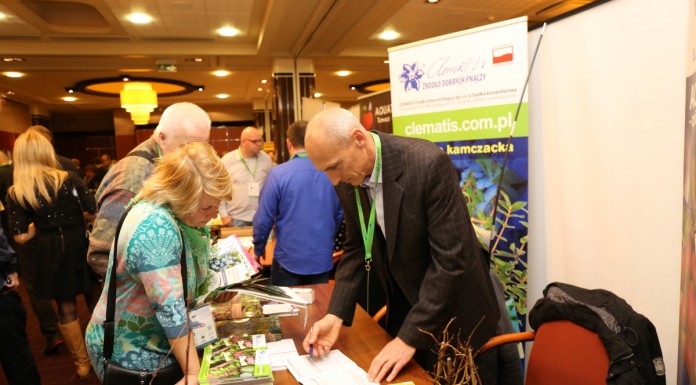 Przegląd sadzonek jagody kamczackiej (cz. I)