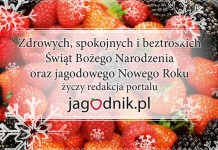 Wesołych Świąt i Owocnego Nowego Roku!