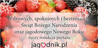Wesołych Świąt i Owocnego Nowego Roku!