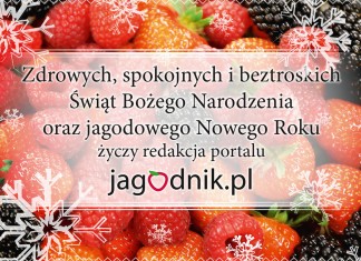 Wesołych Świąt i Owocnego Nowego Roku!