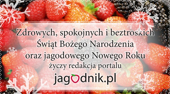 Wesołych Świąt i Owocnego Nowego Roku!