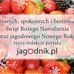 jagodnik_zyczenia_2015