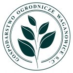 logogow_d