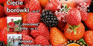 Jagodnik – wszystko o uprawie roślin jagodowych