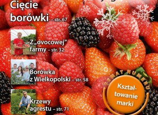 Jagodnik – wszystko o uprawie roślin jagodowych