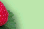 rubus_750x100