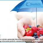 switch jagodowe – v3-01