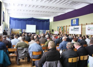 Ekologia szansą dla jagodowych