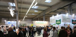 TSW 2016 – dzień pierwszy (FILM)