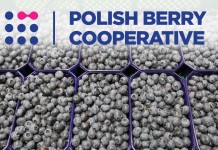 Kolejny krok do przodu polskich producentów borówki