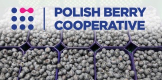 Kolejny krok do przodu polskich producentów borówki
