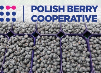 Kolejny krok do przodu polskich producentów borówki