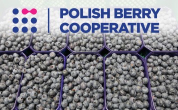 Kolejny krok do przodu polskich producentów borówki