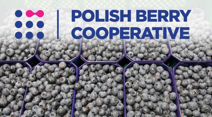 Kolejny krok do przodu polskich producentów borówki