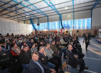 Ważne zagadnienia w uprawie truskawki