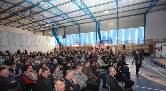 Ważne zagadnienia w uprawie truskawki