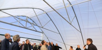 Tunele gotyckie z 50-tki dla krzewów i truskawek