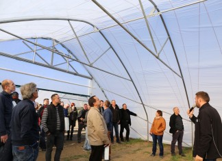 Tunele gotyckie z 50-tki dla krzewów i truskawek