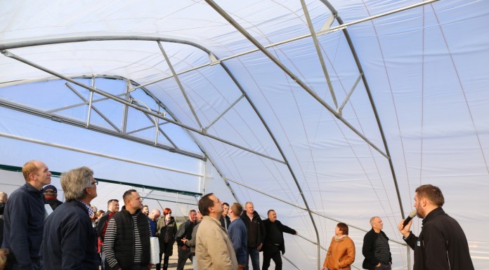 Tunele gotyckie z 50-tki dla krzewów i truskawek