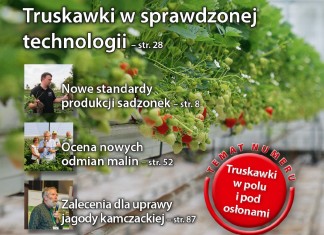 Jagodnik 1/2016 – numer specjalny