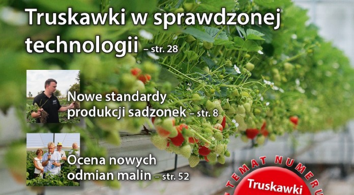 Jagodnik 1/2016 – numer specjalny